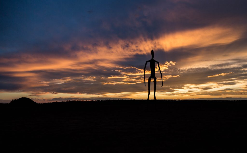 silhouetto of creature during golden hour