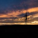 silhouetto of creature during golden hour