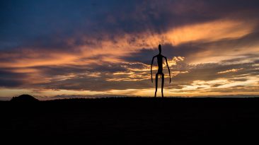 silhouetto of creature during golden hour