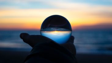 person holding clear glass glass