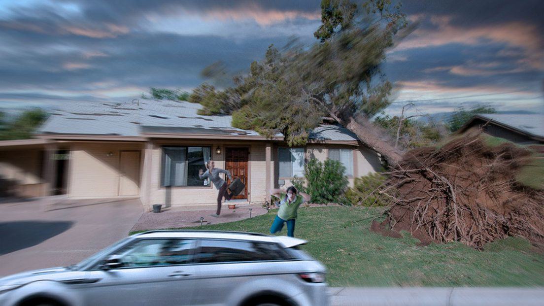 What Happens When a Tree Falls on Your House and How to Survive | What ...