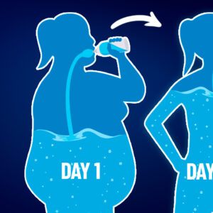 5 Things That Would Happen to Your Body Without Bones | What If Show